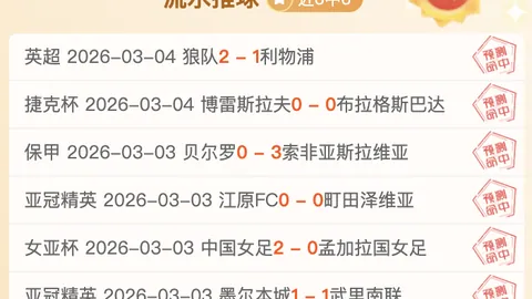 雲達不萊梅足球俱乐部概览